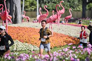 BIB: 
                            <button type="button" onclick="openModal(27793484)" class="btn btn-primary btn-sm float-right btn-popup" data-toggle="modal" data-target=".modal-high-quality">
                        <i class="fas fa-shopping-cart"></i> Add to Cart
                    </button>
                                            <button type="button" onclick="isThisMe(27793484, true)" class="btn btn-success btn-sm float-right btn-popup btn-isme hidden" data-toggle="tooltip" data-placement="bottom" title="นี่คือรูปของคุณใช่ไหม คลิกที่นี่เพื่อเอาเข้าอัลบั้ม">
                        <i class="fas fa-plus"></i> Add to album
                    </button>
                    <button type="button" onclick="isThisMe(27793484, false)" class="btn btn-warning btn-sm float-right btn-popup btn-isnotme hidden">
                        <i class="fas fa-ban"></i> Remove from album
                    </button>